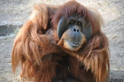 Zoological Center Tel Aviv-Ramat Gan