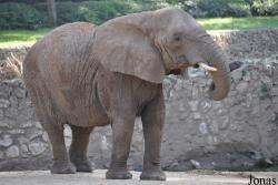 Zoological Center Tel Aviv-Ramat Gan