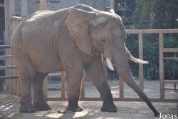Zoological Center Tel Aviv-Ramat Gan