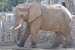 Zoological Center Tel Aviv-Ramat Gan