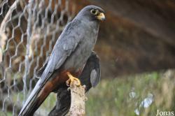 Zoological Center Tel Aviv-Ramat Gan