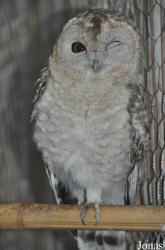Zoological Center Tel Aviv-Ramat Gan