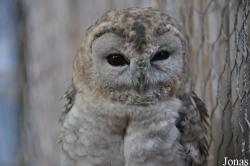 Zoological Center Tel Aviv-Ramat Gan