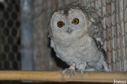 Zoological Center Tel Aviv-Ramat Gan