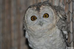 Zoological Center Tel Aviv-Ramat Gan