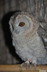 Zoological Center Tel Aviv-Ramat Gan