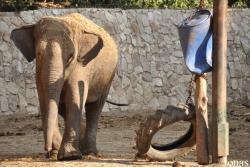 Zoological Center Tel Aviv-Ramat Gan