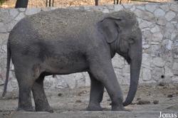 Zoological Center Tel Aviv-Ramat Gan