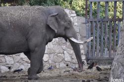 Zoological Center Tel Aviv-Ramat Gan