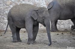 Zoological Center Tel Aviv-Ramat Gan