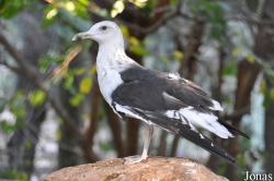 Zoological Center Tel Aviv-Ramat Gan