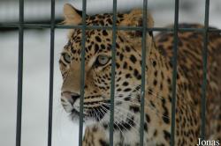 Zoo Wuppertal