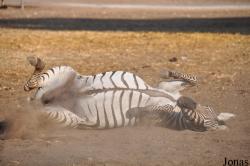 Zoological Center Tel Aviv-Ramat Gan