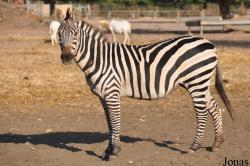 Zoological Center Tel Aviv-Ramat Gan