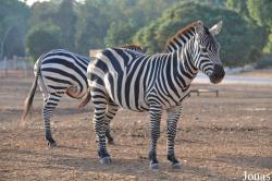 Zoological Center Tel Aviv-Ramat Gan
