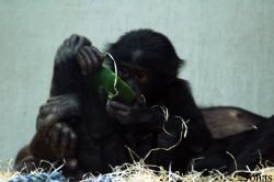 Zoo Wuppertal
