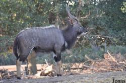 Zoological Center Tel Aviv-Ramat Gan