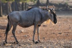 Zoological Center Tel Aviv-Ramat Gan