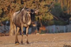 Zoological Center Tel Aviv-Ramat Gan