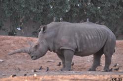 Zoological Center Tel Aviv-Ramat Gan