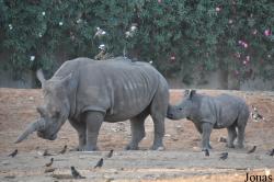 Zoological Center Tel Aviv-Ramat Gan