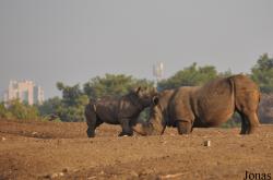 Zoological Center Tel Aviv-Ramat Gan