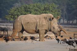 Zoological Center Tel Aviv-Ramat Gan