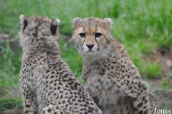 Zoo Landau in der Pfalz