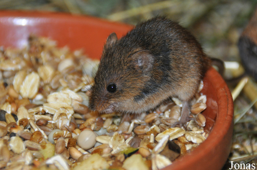 Zoo Landau in der Pfalz