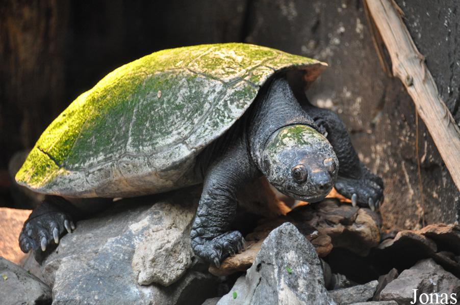 Zoo Landau in der Pfalz