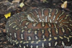 Reptilium Terrarien- und Wüstenzoo