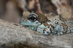 Reptilium Terrarien- und Wüstenzoo
