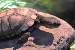 Scarborough Sea Life Sanctuary