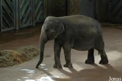 Zoo Köln