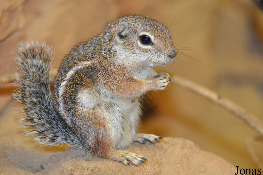 Zoo Rostock