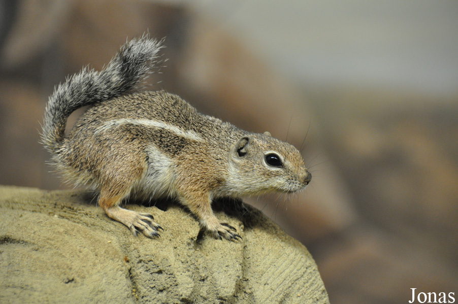 Zoo Rostock
