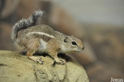 Zoo Rostock