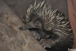 Zoo Rostock