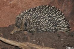 Zoo Rostock