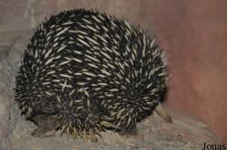 Zoo Rostock