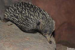 Zoo Rostock
