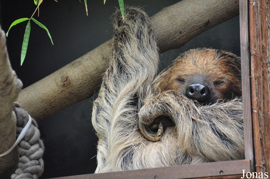 Zoo Rostock