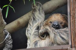 Zoo Rostock