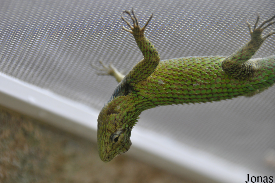 Zoo Rostock