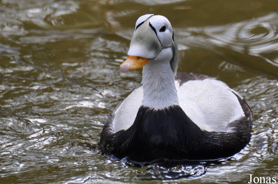 Zoo Rostock