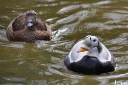 Zoo Rostock