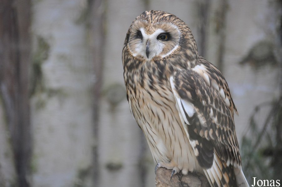 Zoo Rostock