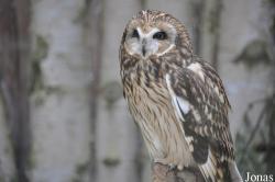 Zoo Rostock
