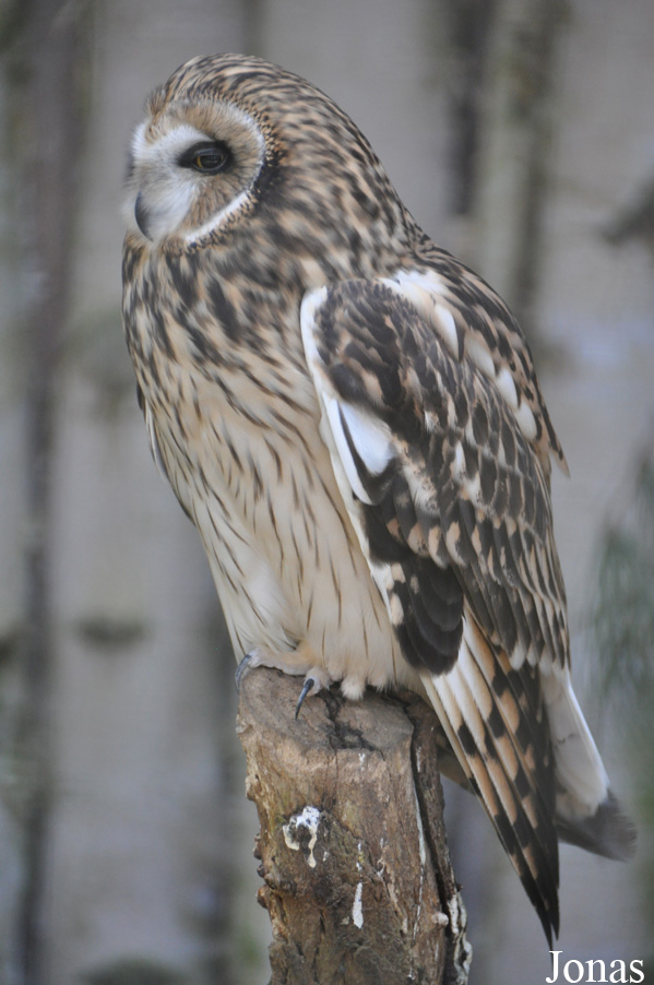 Zoo Rostock