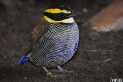 Zoo Rostock